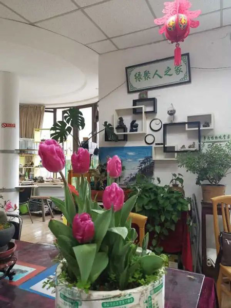 徐汇这里来了一群“绿聚人”,他们用兴趣“解锁”低碳生活休闲区蓝鸢梦想 - Www.slyday.coM 徐汇这里来了一群“绿聚人”,他们用兴趣“解锁”低碳生活休闲区蓝鸢梦想 - Www.slyday.coM