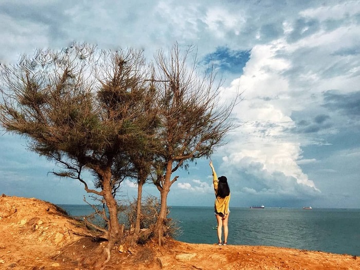 探索越南最美的海角，欣赏壮丽的自然风光，享受大自然的鬼斧神工