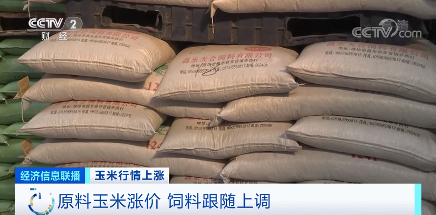 收粮价格最新行情 3440-c36578dad154eb9a37e1fbe89fb08e89.png