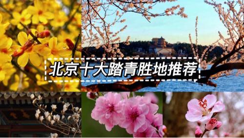 绝美北京的10个踏青好去处最适合感受春天收藏起来慢慢去