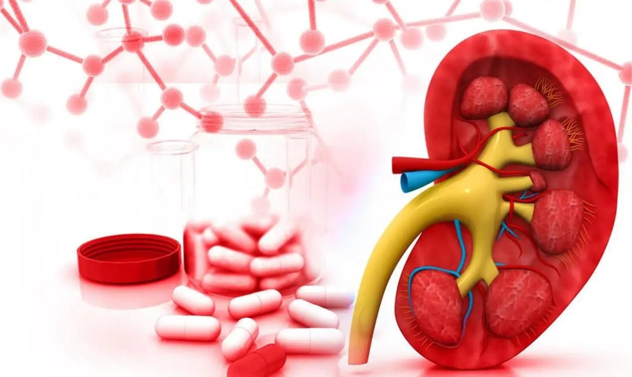 东城中医医院赵宗江做客《国医·记忆》保护肾脏远离慢性肾病