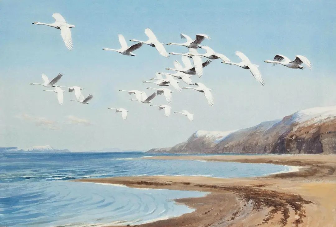 名画吐槽:等疫情结束,我要去旅游、去逛街、去看演唱会...看得我笑着笑着就哭了休闲区蓝鸢梦想 - Www.slyday.coM 名画吐槽:等疫情结束,我要去旅游、去逛街、去看演唱会...看得我笑着笑着就哭了休闲区蓝鸢梦想 - Www.slyday.coM