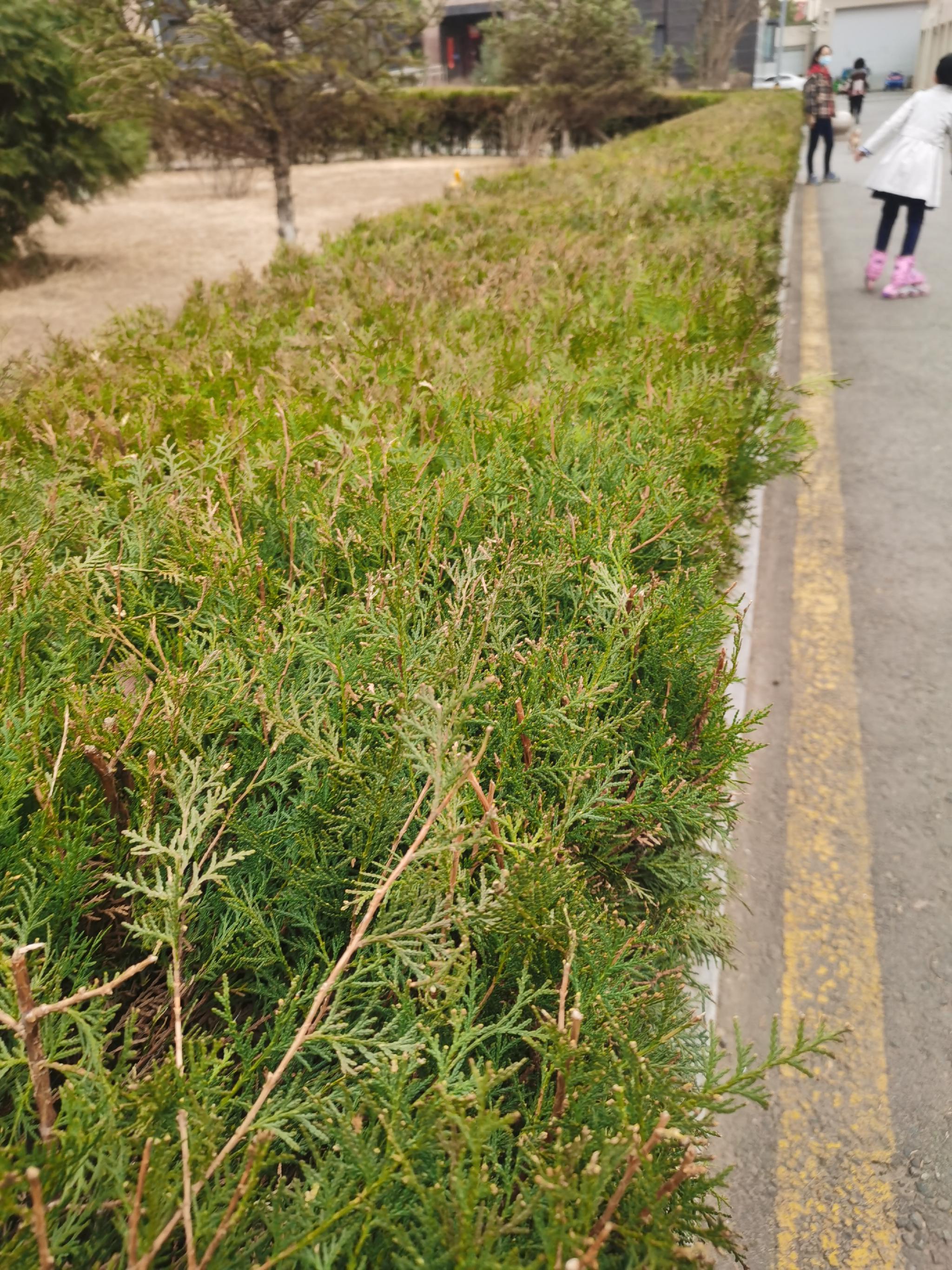 呼市新增病例清零清零