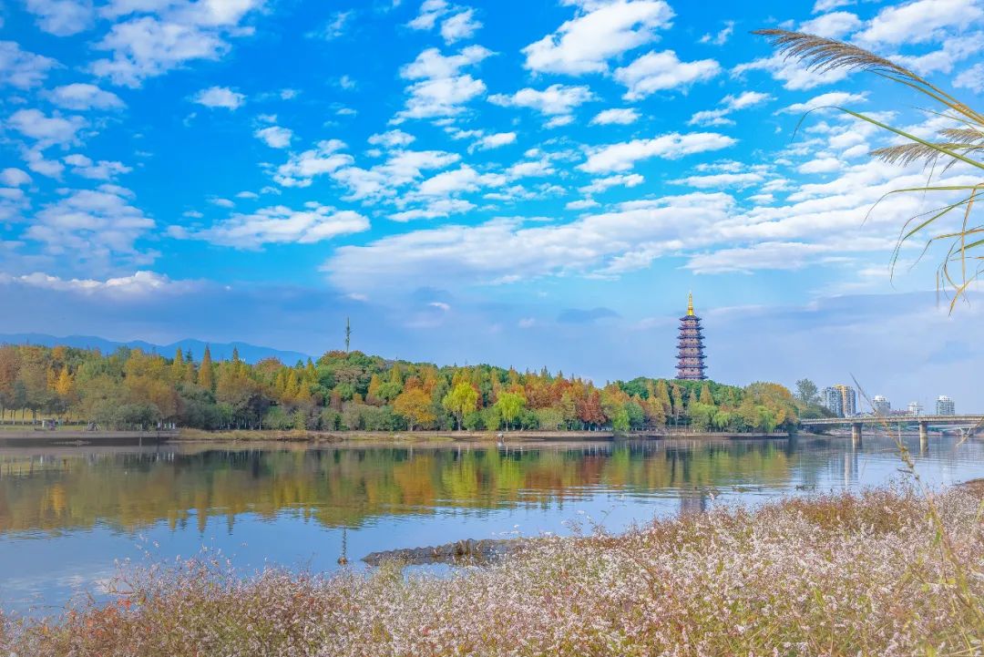 最新社会现象表明,金华三路口上午有服务吗，2025年金华三路口上午服务时间与地点解析