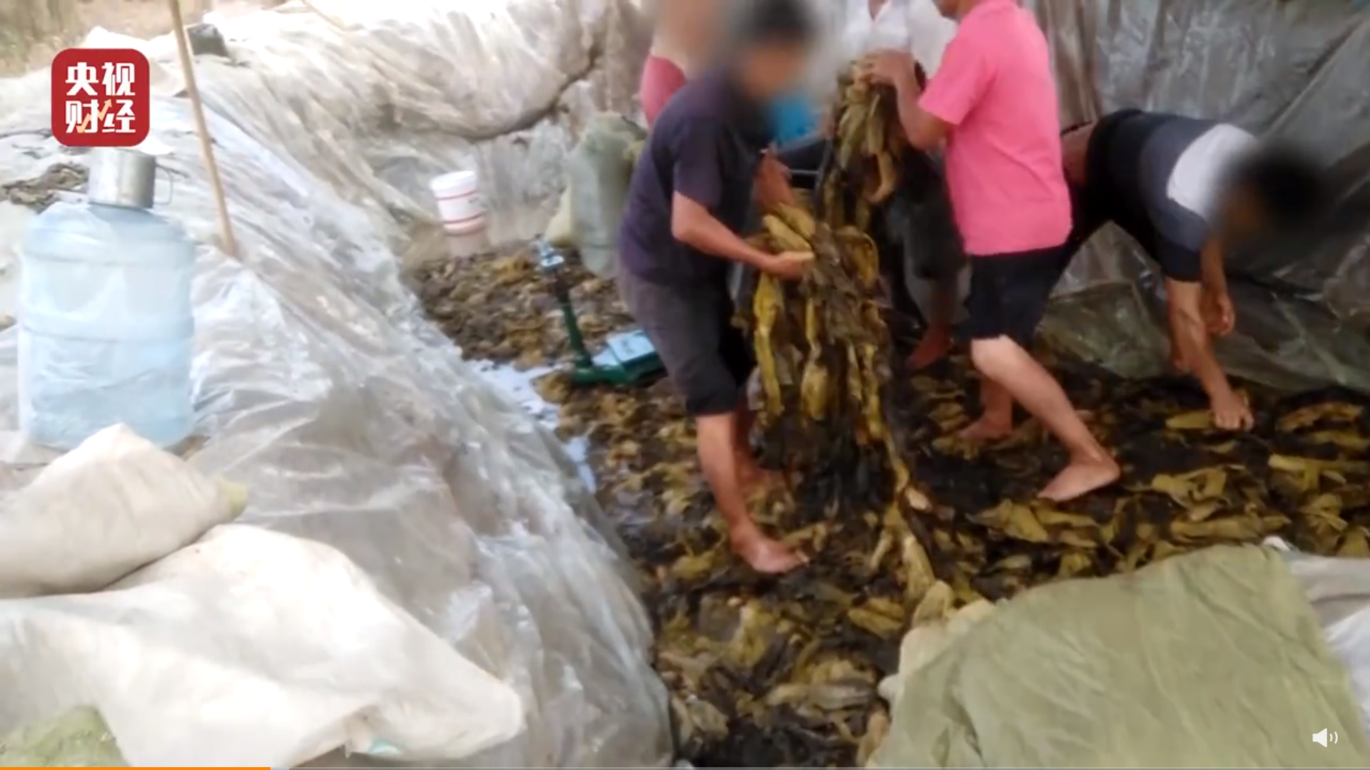 3.15晚会曝光老坛酸菜!统一致歉,肯德基否认供应关系休闲区蓝鸢梦想 - Www.slyday.coM 3.15晚会曝光老坛酸菜!统一致歉,肯德基否认供应关系休闲区蓝鸢梦想 - Www.slyday.coM