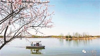 观鸟、骑行、野餐…… 春日遛娃怎么“野”休闲区蓝鸢梦想 - Www.slyday.coM 观鸟、骑行、野餐…… 春日遛娃怎么“野”休闲区蓝鸢梦想 - Www.slyday.coM