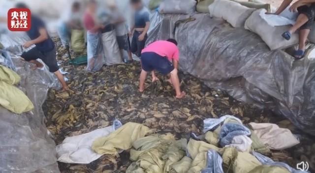 统一老坛酸菜牛肉面多少钱一桶 a5af-11b551c57a28f0173a957221489103fb.jpg