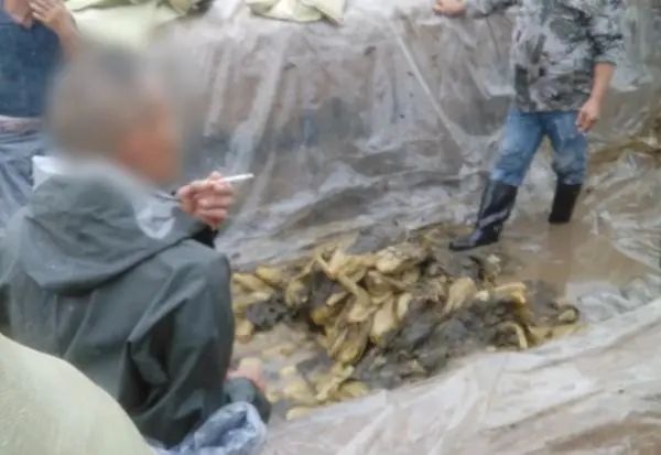 “土坑酸菜”相关人员被控制,统一、康师傅等回应来了休闲区蓝鸢梦想 - Www.slyday.coM “土坑酸菜”相关人员被控制,统一、康师傅等回应来了休闲区蓝鸢梦想 - Www.slyday.coM