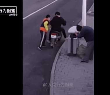 视频截图来源:微博@人类行为图鉴
