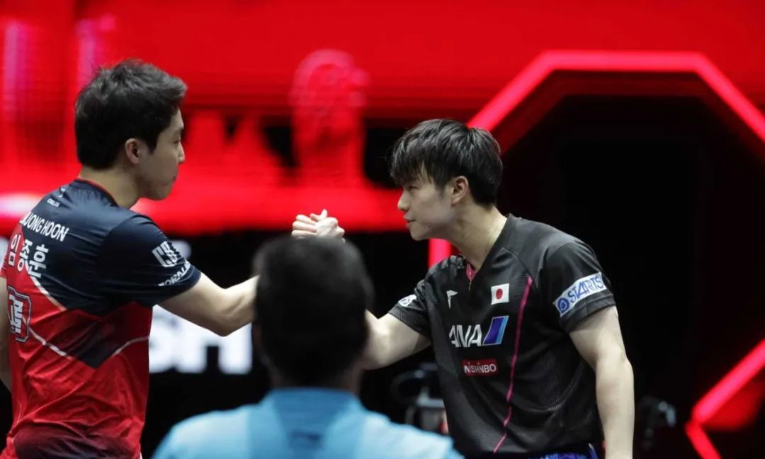 〖斯帝卡V乒乓〗樊振东逆转<a href=