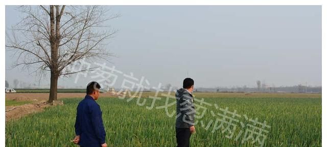 啥时候种葱最好 3a55-5304b5553b461d253354faa583de9597.jpg