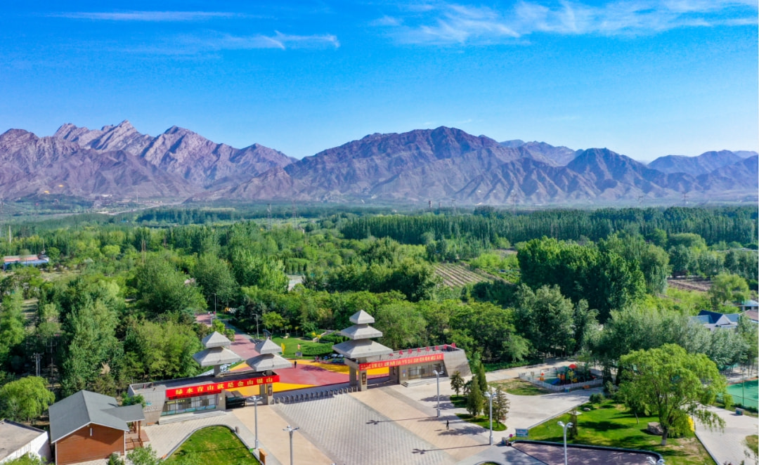 石嘴山怎么在学校找接活的女生呢