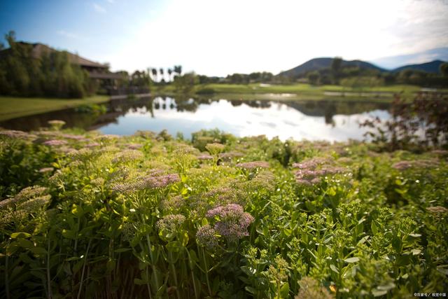 等疫情结束就一起去旅游吧,去看花看海看世界休闲区蓝鸢梦想 - Www.slyday.coM 等疫情结束就一起去旅游吧,去看花看海看世界休闲区蓝鸢梦想 - Www.slyday.coM