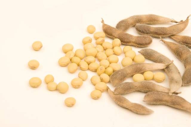 [转载]豆奶纳入国民饮奶计划！宝宝能喝吗？