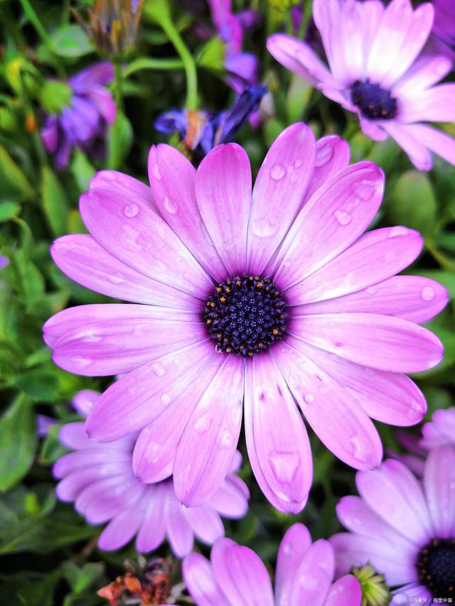 等疫情结束就一起去旅游吧,去看花看海看世界休闲区蓝鸢梦想 - Www.slyday.coM 等疫情结束就一起去旅游吧,去看花看海看世界休闲区蓝鸢梦想 - Www.slyday.coM