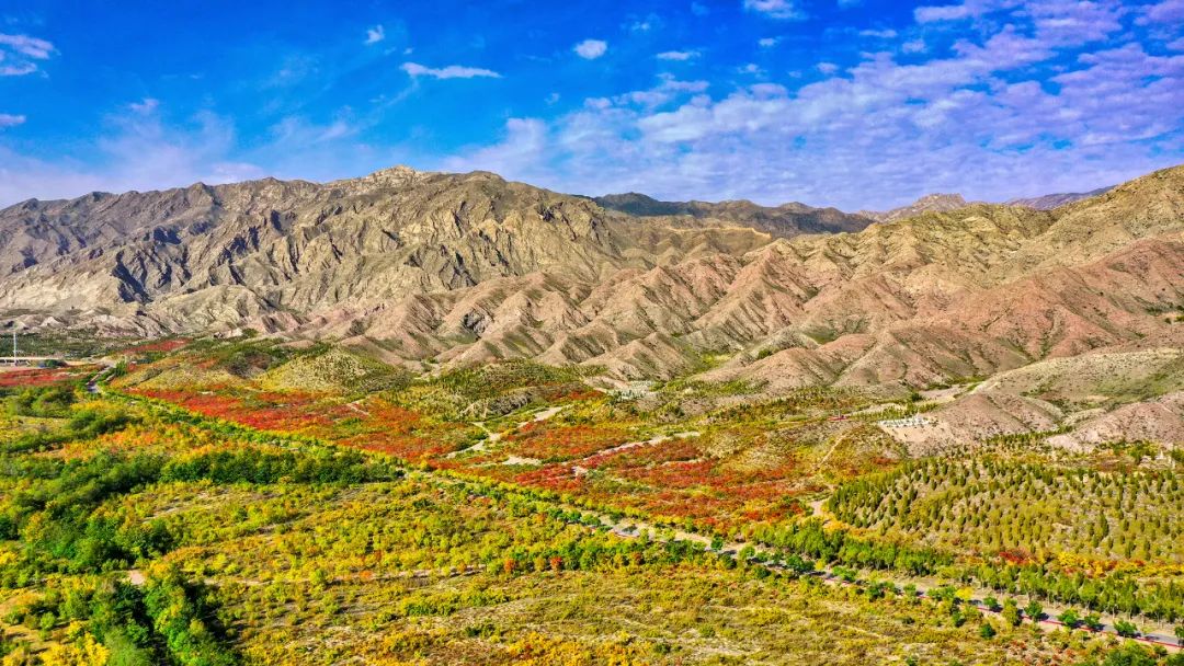 石嘴山校园服务及本地发展全解析 石嘴山怎么在学校找接活的女生呢