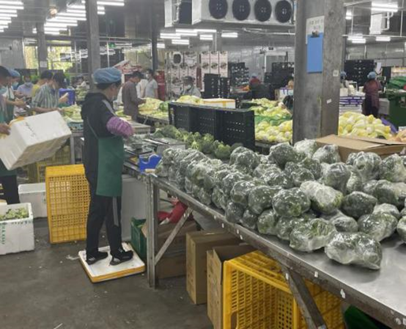 “供”战疫情!“慢生活”下的光明街道 “两新”企业快节奏抗疫故事休闲区蓝鸢梦想 - Www.slyday.coM “供”战疫情!“慢生活”下的光明街道 “两新”企业快节奏抗疫故事休闲区蓝鸢梦想 - Www.slyday.coM