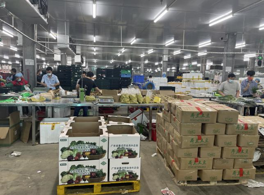 “供”战疫情!“慢生活”下的光明街道 “两新”企业快节奏抗疫故事休闲区蓝鸢梦想 - Www.slyday.coM “供”战疫情!“慢生活”下的光明街道 “两新”企业快节奏抗疫故事休闲区蓝鸢梦想 - Www.slyday.coM