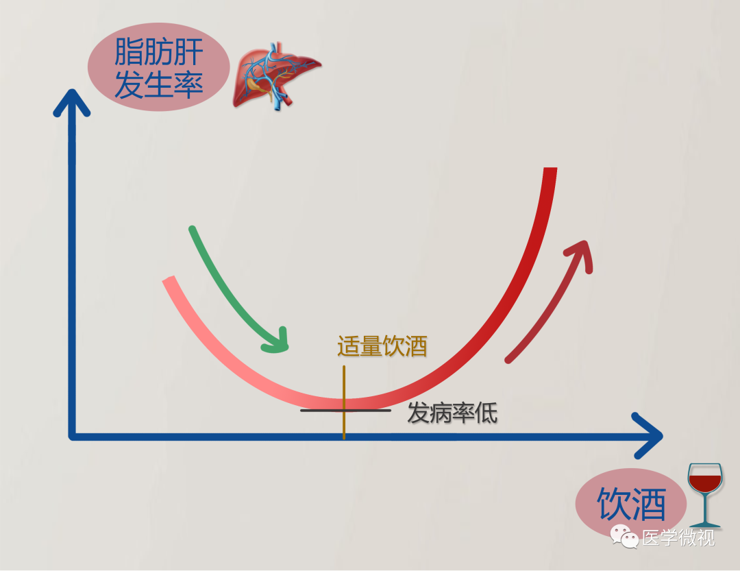 不胖的人也可能得脂肪肝?少量喝酒还能降低脂肪肝的风险?休闲区蓝鸢梦想 - Www.slyday.coM 不胖的人也可能得脂肪肝?少量喝酒还能降低脂肪肝的风险?休闲区蓝鸢梦想 - Www.slyday.coM