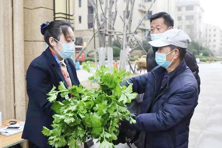 恒信物业:疫情大考之下的坚守与思考休闲区蓝鸢梦想 - Www.slyday.coM 恒信物业:疫情大考之下的坚守与思考休闲区蓝鸢梦想 - Www.slyday.coM