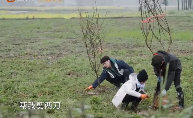 内娱明星早该被综艺除名休闲区蓝鸢梦想 - Www.slyday.coM 内娱明星早该被综艺除名休闲区蓝鸢梦想 - Www.slyday.coM