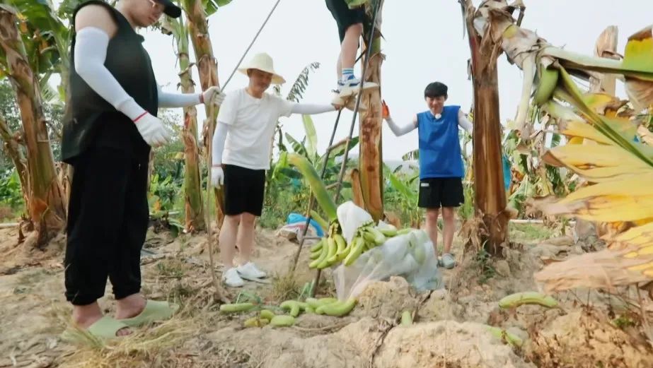 内娱明星早该被综艺除名休闲区蓝鸢梦想 - Www.slyday.coM 内娱明星早该被综艺除名休闲区蓝鸢梦想 - Www.slyday.coM