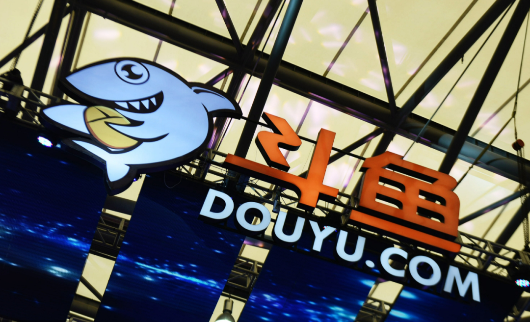 斗鱼：没有鱼能够无休止地斗下去