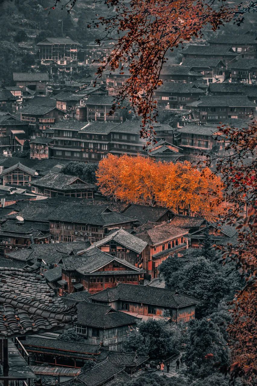 颠覆了对不平凡的定义
