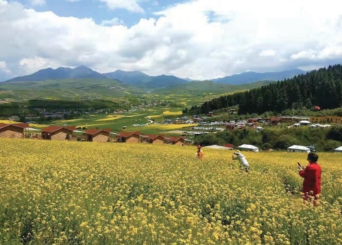 乡村景区唤醒高原大地|花海_新浪财经_新浪网