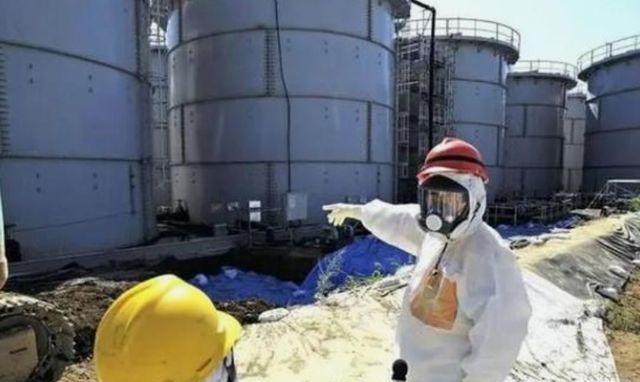 日本帮乌克兰消除核污染？林芳正说了句前所未有的话，<a href=
