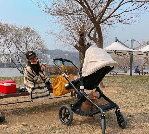 45岁崔智友抱着女儿跳弹精品传奇游戏床,头发凌乱不施脂粉为孩子卸下明星光环