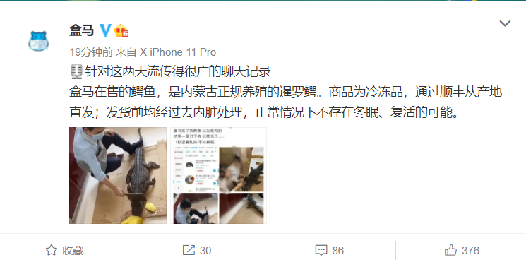 盒马鲜生回应售卖活鳄鱼 :都经过解剖,不存在冬眠、复活的可能休闲区蓝鸢梦想 - Www.slyday.coM 盒马鲜生回应售卖活鳄鱼 :都经过解剖,不存在冬眠、复活的可能休闲区蓝鸢梦想 - Www.slyday.coM