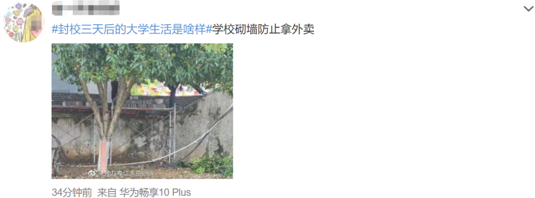 封校后的大学生活?有的人活着,其实已经疯了…休闲区蓝鸢梦想 - Www.slyday.coM 封校后的大学生活?有的人活着,其实已经疯了…休闲区蓝鸢梦想 - Www.slyday.coM