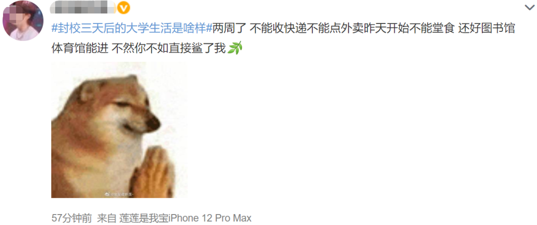 封校后的大学生活?有的人活着,其实已经疯了…休闲区蓝鸢梦想 - Www.slyday.coM 封校后的大学生活?有的人活着,其实已经疯了…休闲区蓝鸢梦想 - Www.slyday.coM