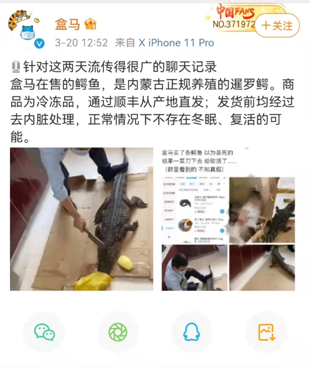 所售鳄鱼被砍后复活?盒马回应:已处理内脏,不存在复活可能休闲区蓝鸢梦想 - Www.slyday.coM 所售鳄鱼被砍后复活?盒马回应:已处理内脏,不存在复活可能休闲区蓝鸢梦想 - Www.slyday.coM