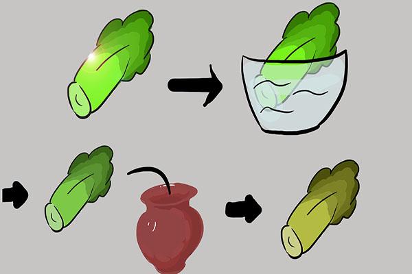 经常吃酸菜,对身体有什么影响?会致癌吗?多少天后吃比较安全?休闲区蓝鸢梦想 - Www.slyday.coM 经常吃酸菜,对身体有什么影响?会致癌吗?多少天后吃比较安全?休闲区蓝鸢梦想 - Www.slyday.coM