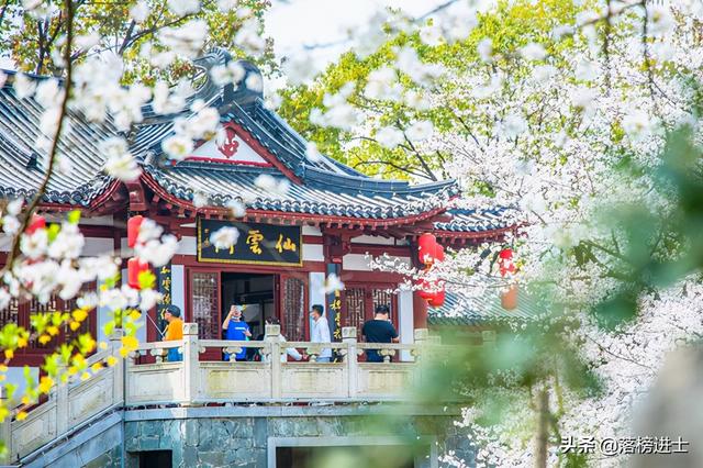 武汉东湖樱花园,此时樱花盛开,如梦似幻,让我们赴一场繁华盛宴休闲区蓝鸢梦想 - Www.slyday.coM 武汉东湖樱花园,此时樱花盛开,如梦似幻,让我们赴一场繁华盛宴休闲区蓝鸢梦想 - Www.slyday.coM