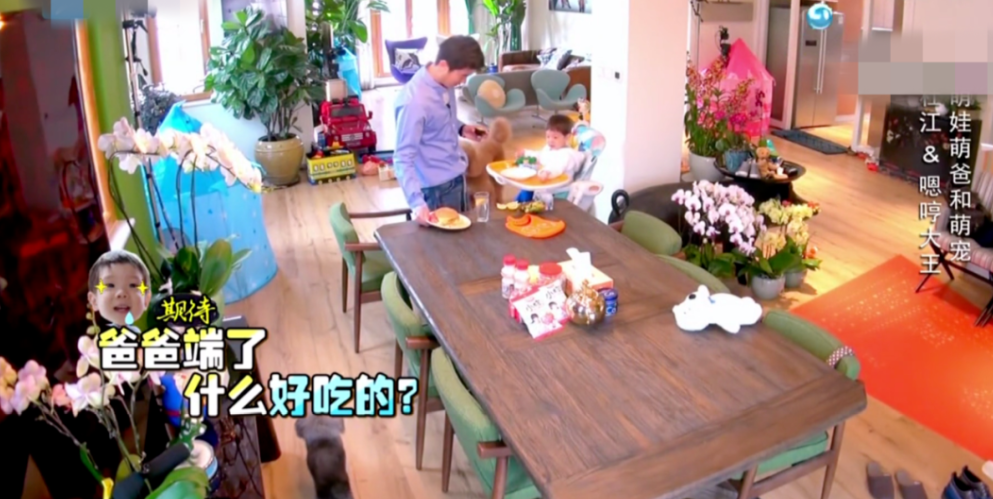 《爸哪5》现状:内地全“翻车”，港台搬内地，吴尊也不例外