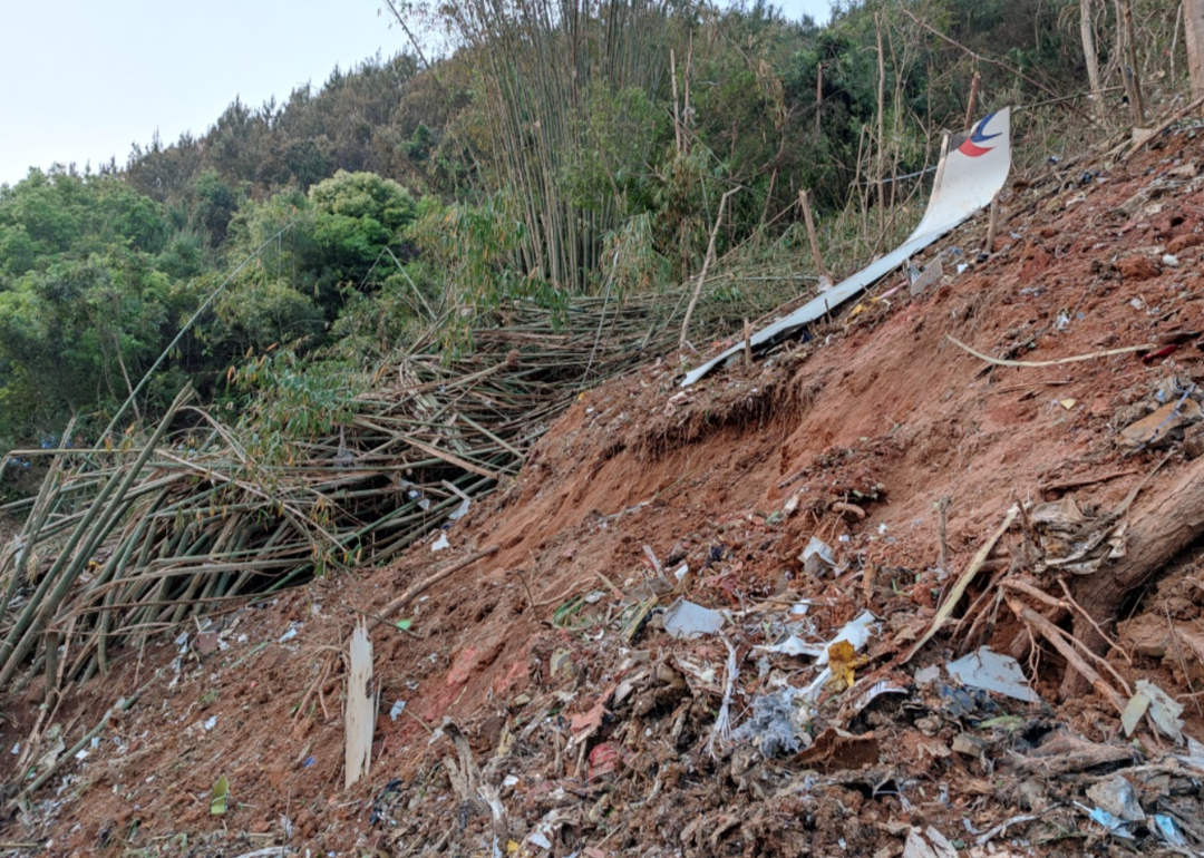 东航坠机20个小时 我们梳理了关于事故的假消息、待确认和已确认消息休闲区蓝鸢梦想 - Www.slyday.coM 东航坠机20个小时 我们梳理了关于事故的假消息、待确认和已确认消息休闲区蓝鸢梦想 - Www.slyday.coM
