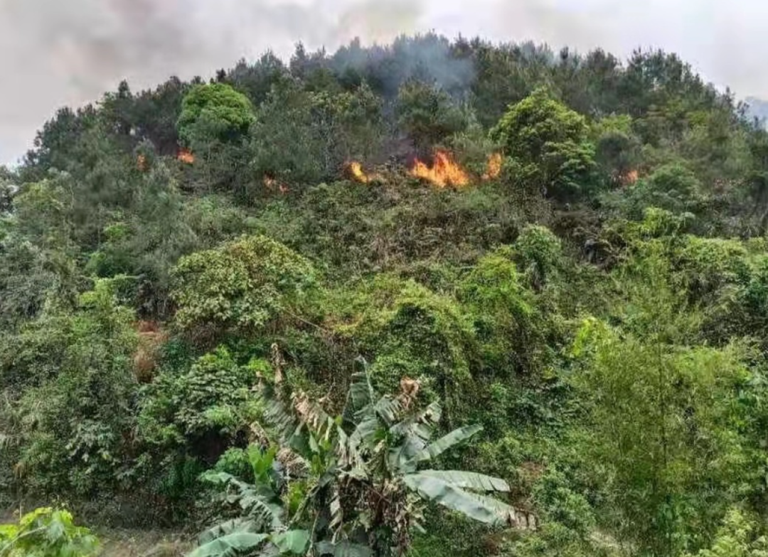 东航坠机20个小时 我们梳理了关于事故的假消息、待确认和已确认消息休闲区蓝鸢梦想 - Www.slyday.coM 东航坠机20个小时 我们梳理了关于事故的假消息、待确认和已确认消息休闲区蓝鸢梦想 - Www.slyday.coM