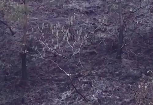 最新消息!东航客机MU5735坠机核心区发现“平安扣”纸条、钱包、身份证!一会计师事务所2员工搭乘失事航班休闲区蓝鸢梦想 - Www.slyday.coM 最新消息!东航客机MU5735坠机核心区发现“平安扣”纸条、钱包、身份证!一会计师事务所2员工搭乘失事航班休闲区蓝鸢梦想 - Www.slyday.coM