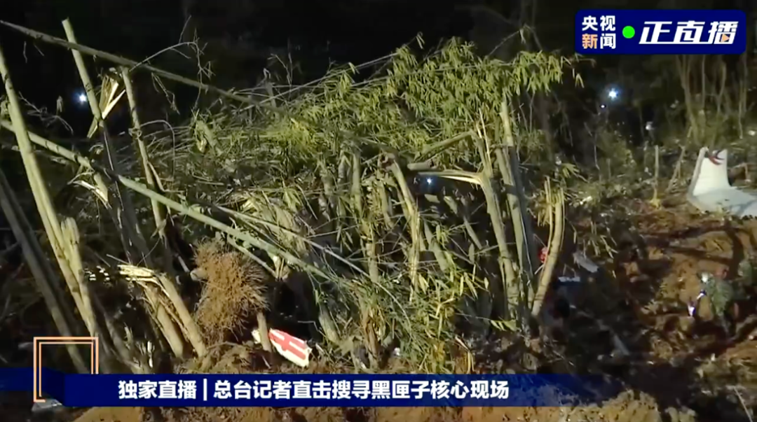 尚未发现幸存人员,事故原因还无法清晰判断!刚刚,东航客机坠毁事件详情公布休闲区蓝鸢梦想 - Www.slyday.coM 尚未发现幸存人员,事故原因还无法清晰判断!刚刚,东航客机坠毁事件详情公布休闲区蓝鸢梦想 - Www.slyday.coM