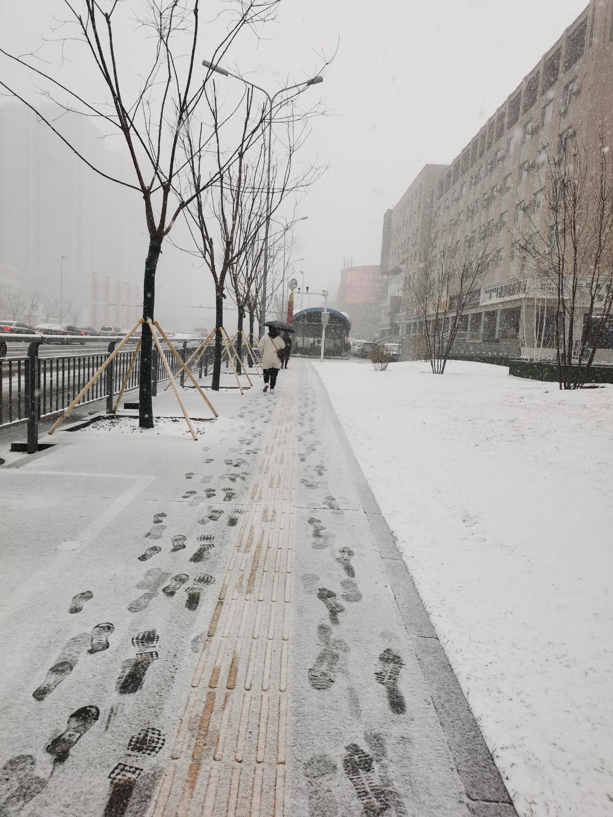 当我的灵魂沐浴了雪