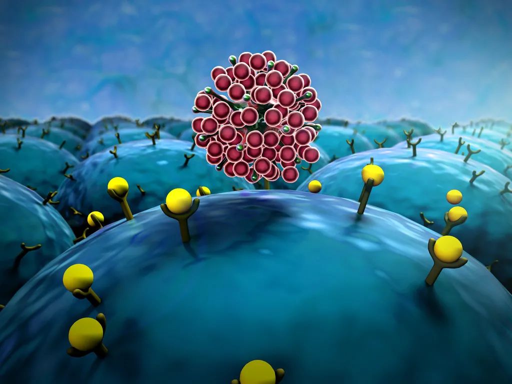 “德尔塔克戎”变体被证实,疫情出现“倒春寒”。研究提醒:非常时期,新冠病毒更喜欢传染给胖子休闲区蓝鸢梦想 - Www.slyday.coM “德尔塔克戎”变体被证实,疫情出现“倒春寒”。研究提醒:非常时期,新冠病毒更喜欢传染给胖子休闲区蓝鸢梦想 - Www.slyday.coM