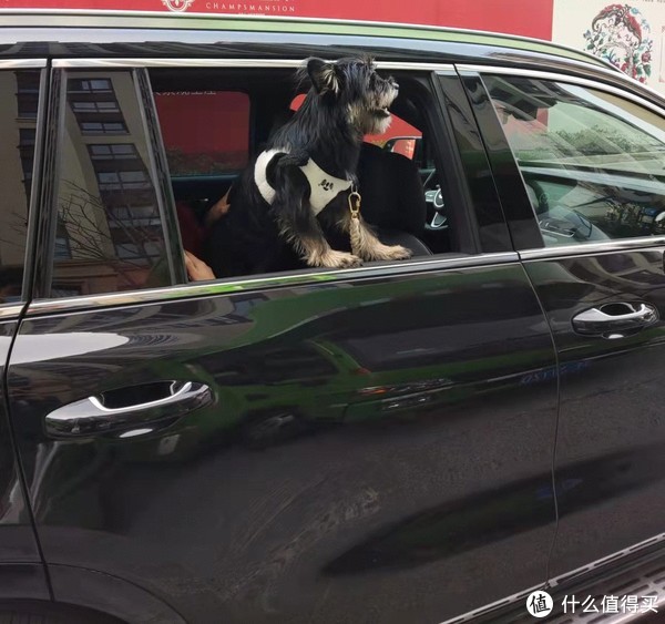 理想one,可能是无法复制的一代经典休闲区蓝鸢梦想 - Www.slyday.coM 理想one,可能是无法复制的一代经典休闲区蓝鸢梦想 - Www.slyday.coM