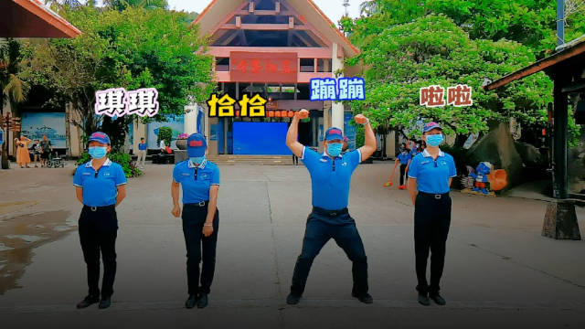 琪琪、恰恰、蹦蹦、啦啦 喊大家快来 开启海岛踏春游……_新浪新闻