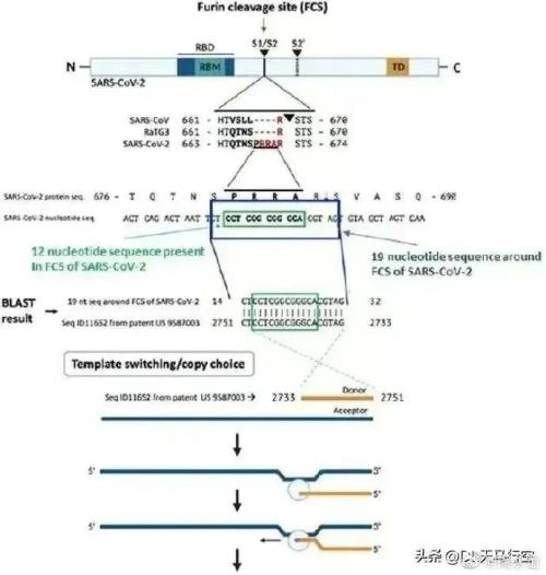 突发!俄又出狠招反制欧美!英媒:新冠是美国制造!伦镍一度涨超15%,沪镍涨停!已发现黑匣子为话音记录器休闲区蓝鸢梦想 - Www.slyday.coM 突发!俄又出狠招反制欧美!英媒:新冠是美国制造!伦镍一度涨超15%,沪镍涨停!已发现黑匣子为话音记录器休闲区蓝鸢梦想 - Www.slyday.coM