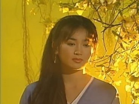 秦可作品为何受欢迎 经典作品有哪些