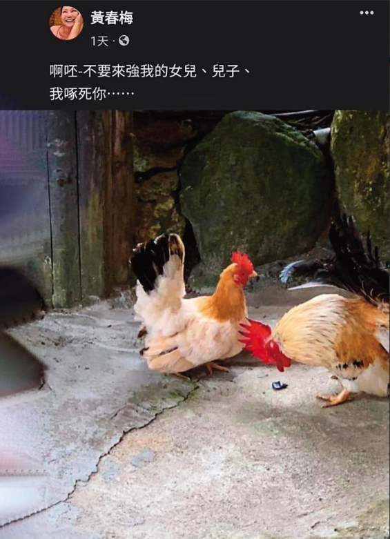 大s结婚17天，8人“登台唱戏”，真正的输家只有2人