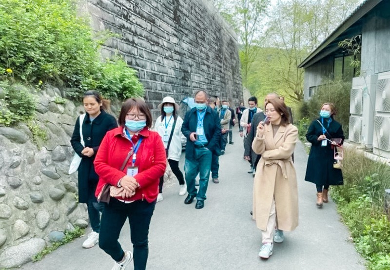 游柒杨桥实战经验引入来促昌盛